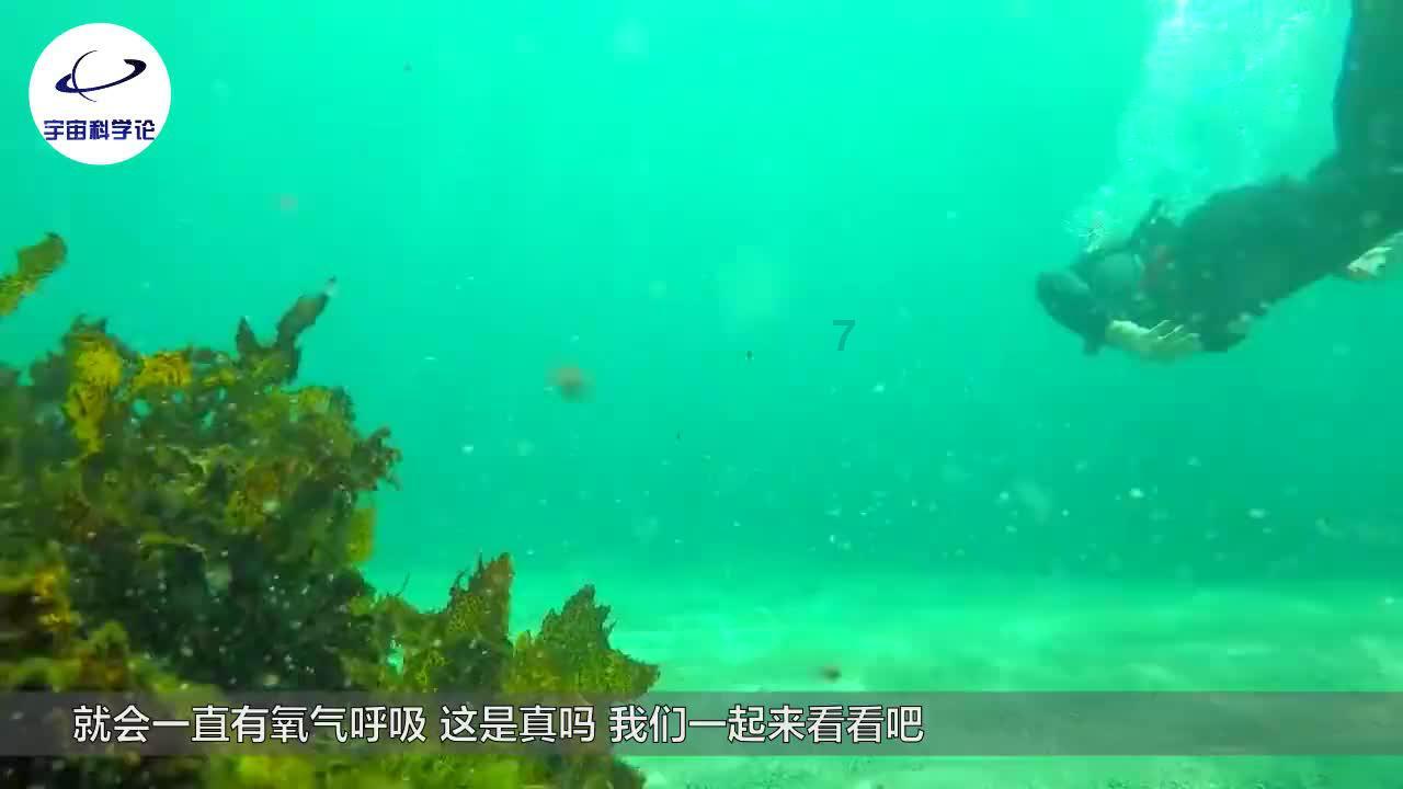 闻到刺鼻臭味，日本一中学逾20名学生喉咙痛、流泪