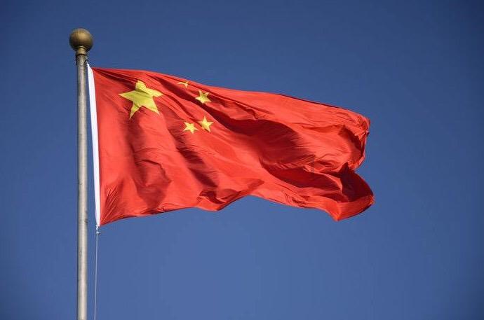 森林的奇迹