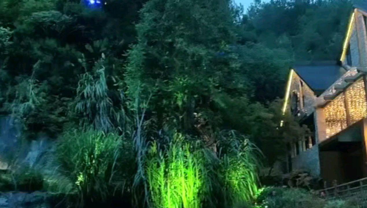 731的洗地费,才值3块钱?贾贵把黑藤给的好处费,都吃了回扣了